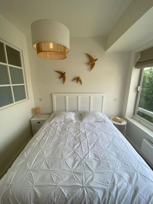 1 Chambre Avec Parking Au Coeur De Bruxelles 2D Luaran gambar